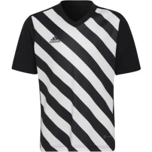 adidas Youth Entrada 22 Graphic Soccer Jersey